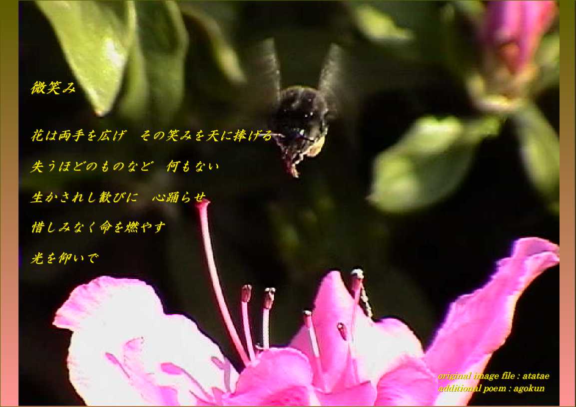 "hohoemi" additional poem:agokun